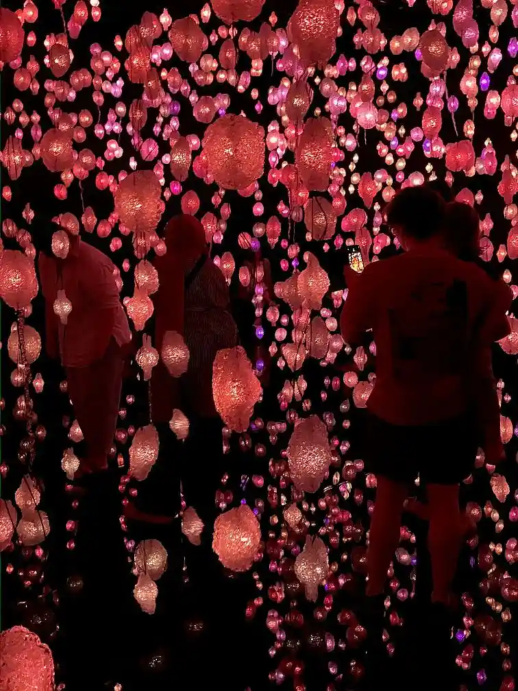 Kunsthalle: Pixelwald entdecken