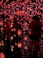 Kunsthalle: Pixelwald entdecken