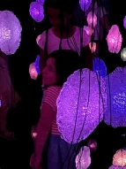 Kunsthalle: Der Pixelwald begeistert