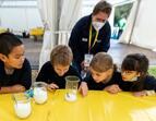 Workshop 2: KuFZ Hohwisch - Kinder experimentieren