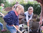 Mitarbeit am Gartenprojekt im KuFZ Auf den Hunnen 