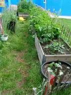 Hochbeete im KuFZ August-Bebel-Allee