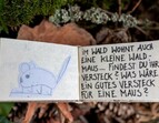 Wald- und Wiesen-Aufgabenbuch: Ein Aufgabenbeispiel ll