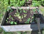 Gartentag im Schwedenhaus | Hochbeet