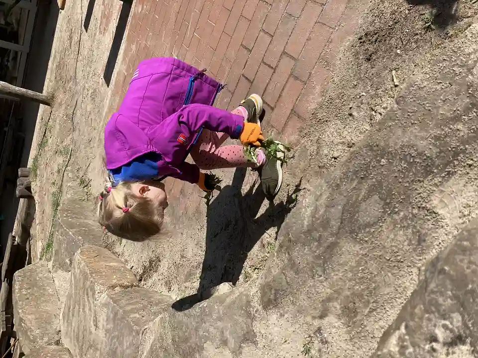 Gartentag im Kinder- und Familienzentrum Ulrichs Helgen 2025 (7)