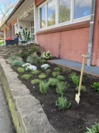 Neu bepflanztes Hochbeet