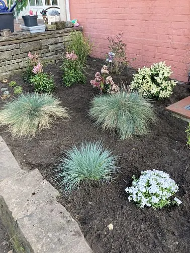 Hochbeet mit neuen Pflanzen