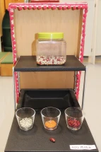 KuFZ An Smidts Park: Wir sammeln Dinge (7) 