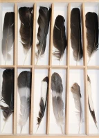 KuFZ An Smidts Park: Wir sammeln Dinge (5) 