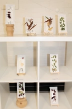 KuFZ An Smidts Park: Wir sammeln Dinge (6) 