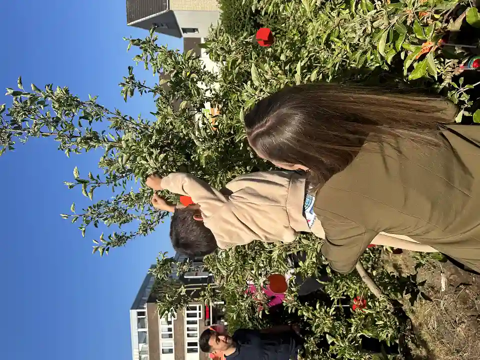 Impressionen von der Wunschbaum-Pflanzung im KuFZ Wasserturm (2)