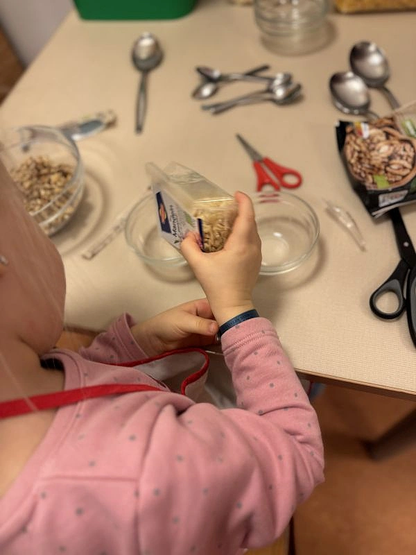 N&uuml;sse werden in kleine Sch&auml;lchen gef&uuml;llt