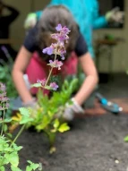 Rückblick Sommerferienprogramm 2021, Spielhaus/Treff Wischmannstraße
