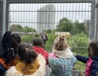 Queerbeet Gartenprojekt Toreingang