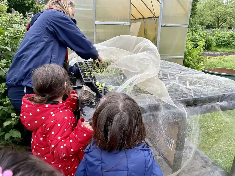 Kleine Pflanzenkinder aus dem Gew&auml;chshaus