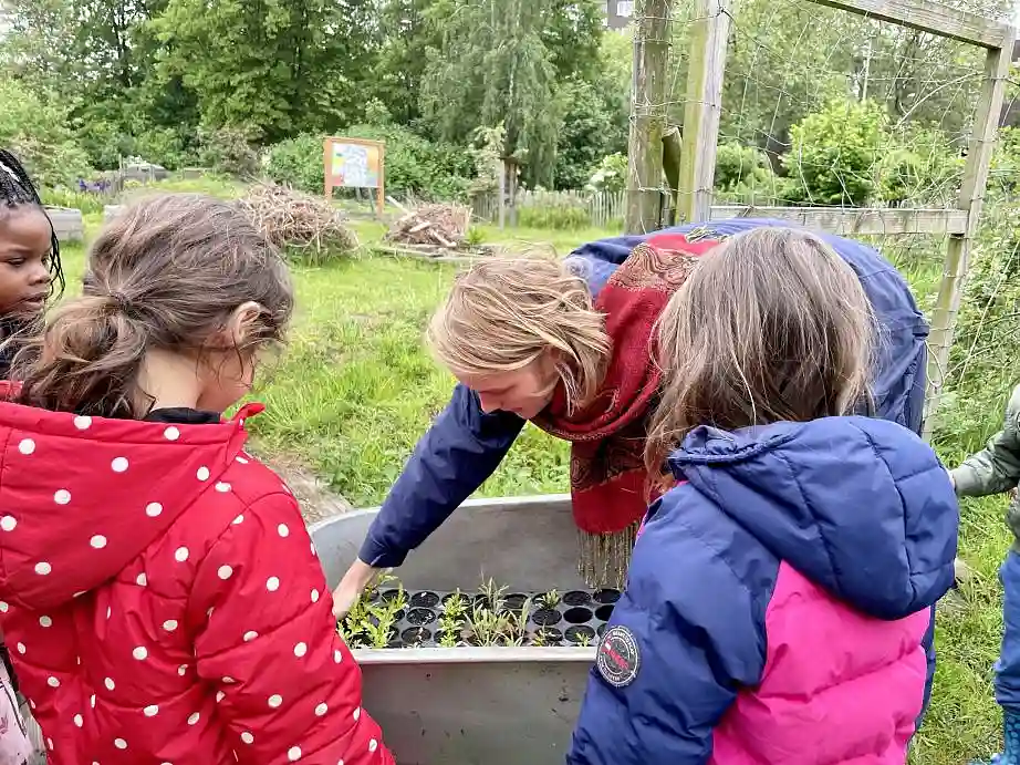 Kleine Pflanzenkinder aus dem Gew&auml;chshaus in Schubkarre