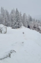 Schneelandschaft Harz 2023