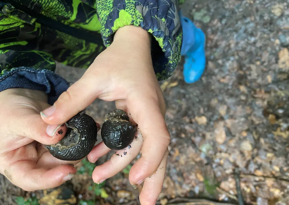 P&uuml;rschweg_ImpressionFerien2024