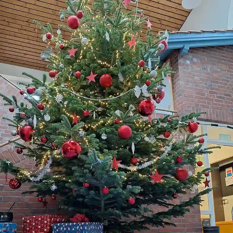 Tannenbaumfreude im Kinder- und Familienzentrum Regenbogenhaus