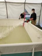 KuFZ Fillerkamp: Impressionen vom Aufbau (2)