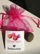 Seedball inklusive Kurzanleitung