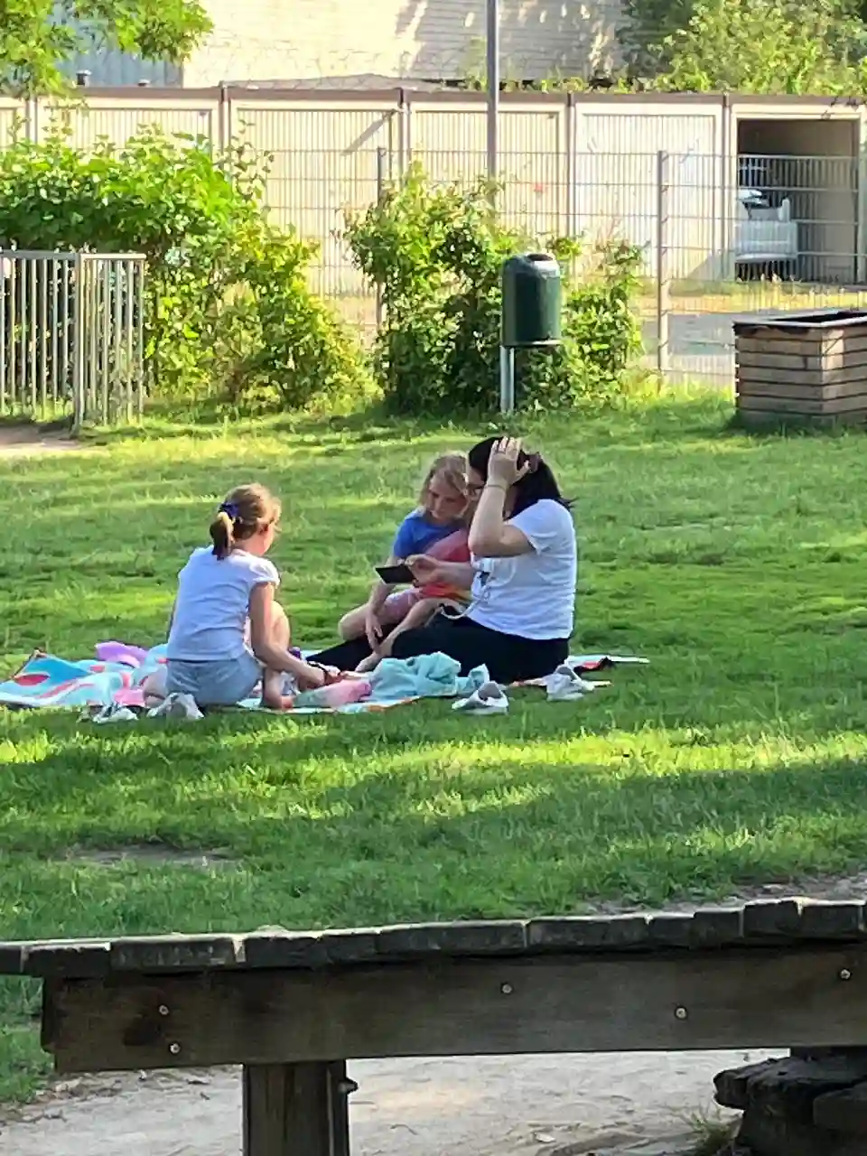 Picknick L&ouml;wenzahn (2)