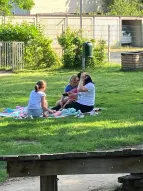 Picknick Löwenzahn (2)