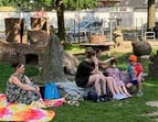 Picknick Löwenzahn (4)