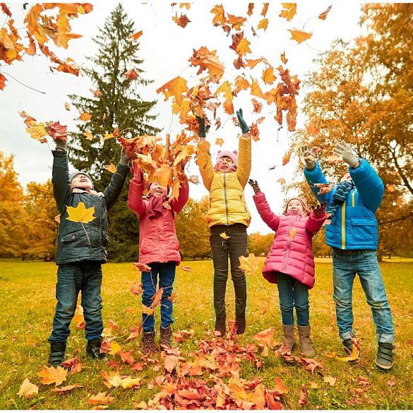 Herbstferienprogramm in unseren Spielhaus/Treffs