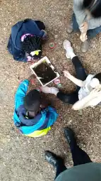 Rückblick Sommerferienprogramm 2021, Spielhaus/Treff Pfälzer Weg