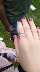 Rückblick Sommerferienprogramm 2021, Spielhaus/Treff Pfälzer Weg