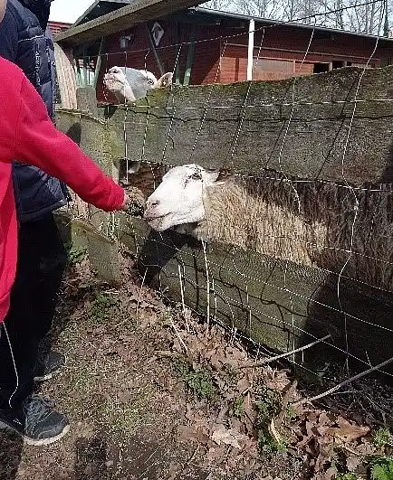 Waldtag mit Tieren | Spielhaus/Treff Pf&auml;lzer Weg