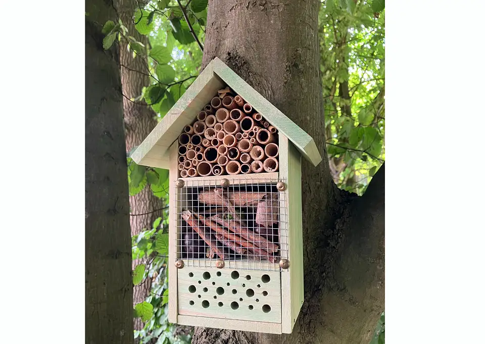 Wohlerseichen_ImpressionFerien2024