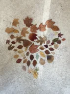 KuFZ Thedinghauser Straße: Wir sammeln Dinge (1)