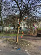 KuFZ Thedinghauser Straße: Wir sammeln Dinge (3)