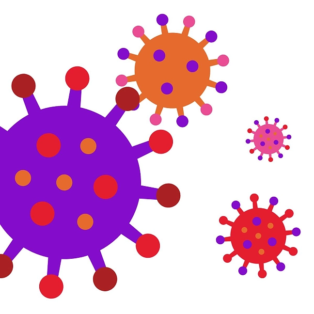 Corona: Zahlen und Fakten